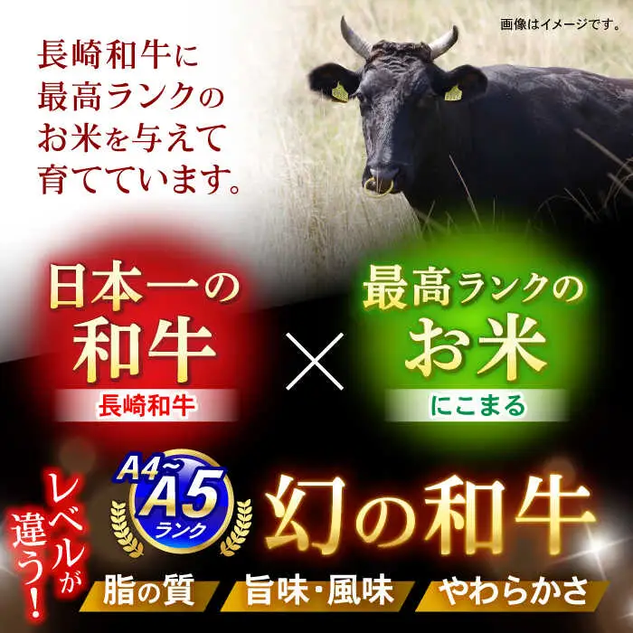 【特Aのブランド米で育てた】諫美牛 切り落とし 500g(250g×2) / 牛肉 ぎゅうにく 和牛 牛 肉 国産 切り落とし 切り落し 切りおとし / 諫早市 / 株式会社土井農場 [AHAD090]