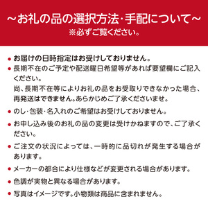 【2026年発送】 先行予約 国産 ブルーベリー 1kg フルーツ ベリー 果物 小分け  080-01
