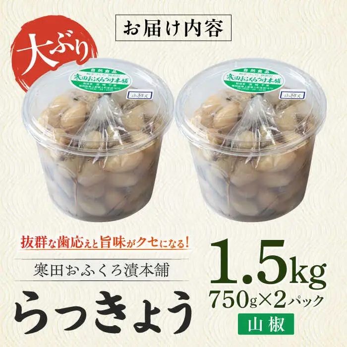 らっきょう 1.5kg（山椒） [ABDO004]