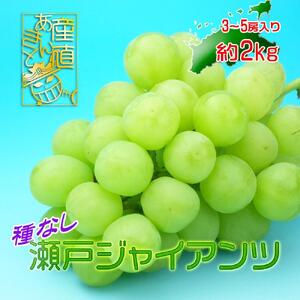 《2026年発送》香川産のもぎたて瀬戸ジャイアンツ2kg【ご家庭用】