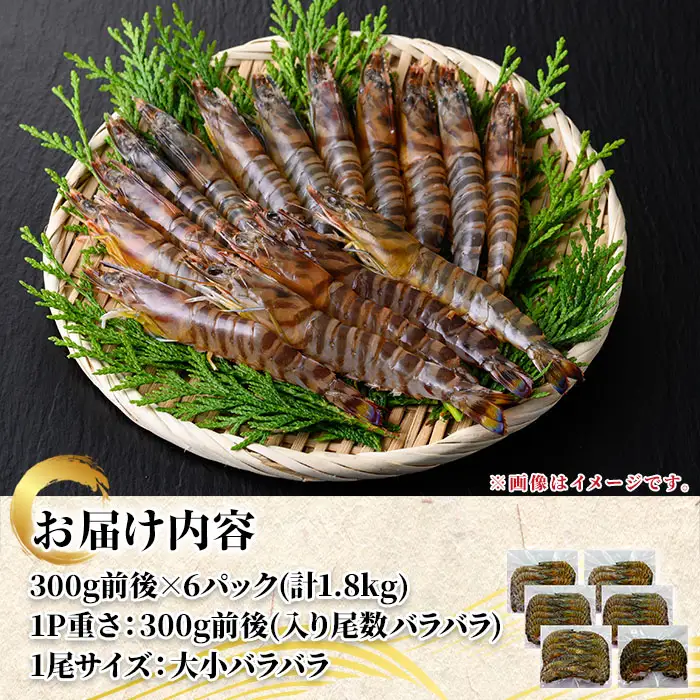 訳あり 車 海老 規格外 バラ セット 計1.8kg・300g前後 × 6P 【車海老日本株式会社】n281