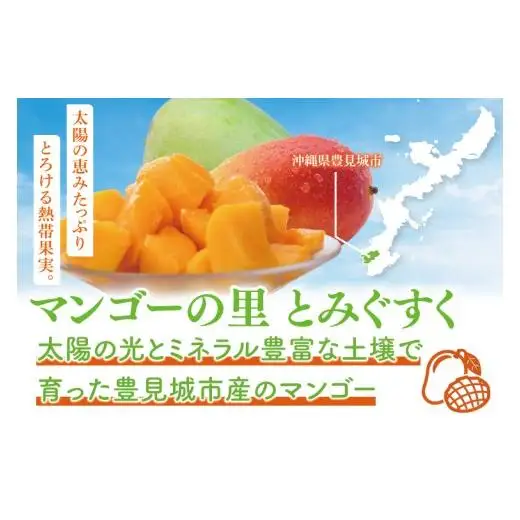 【先行受付】【2027年発送】豊見城産アーウィンマンゴー約1.5kg（化粧）黒秀 AE007