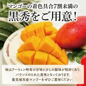 【先行受付】【2027年発送】豊見城産アーウィンマンゴー大玉（4L：2玉、化粧）黒秀 AE009