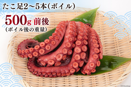 タコ 三陸産 浜ゆでだこ 約500g (足2～5本入) 