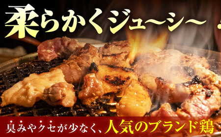 【全6回定期便】佐賀のお肉焼肉セット（牛肉・豚肉・鶏肉）【吉祥】 HCW019 焼肉 黒毛和牛 BBQ