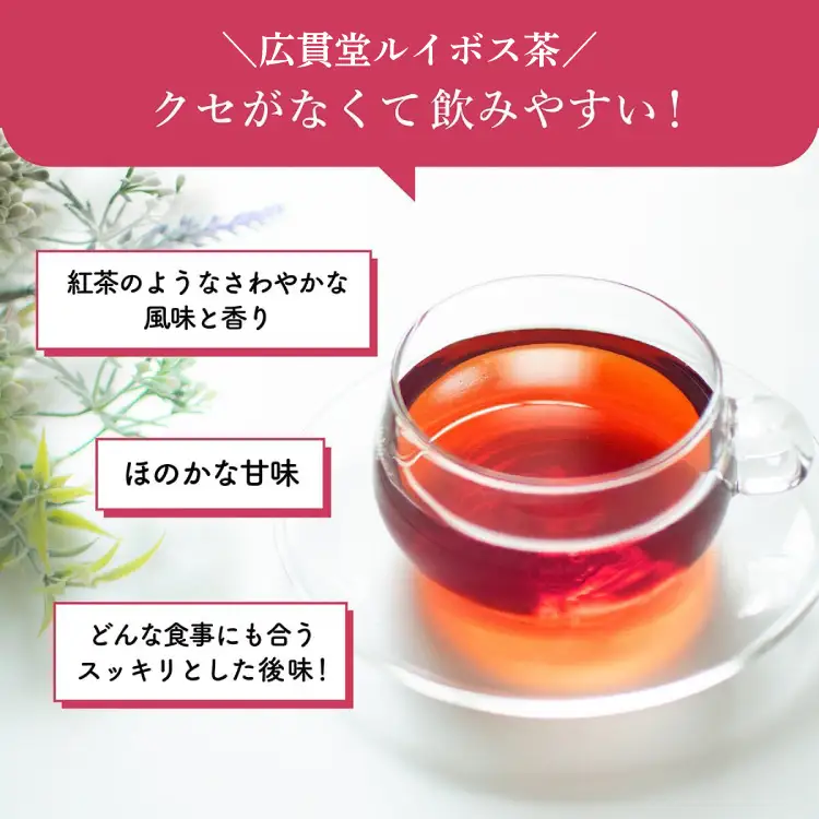 【機能性表示食品】広貫堂ルイボス茶 500ml 24本 1ケース