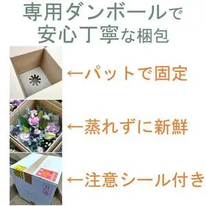 【定期便 / 毎月2回 計24回 お届け】季節の花束 定期便 岩手県 北上市 R0120  （ パルテール )  花 観賞用 アレンジ プレゼント ギフト 誕生日 お祝い クリスマス 卒業 入学 バレンタインデー ホワイトデー 贈答 母の日 父の日 敬老の日 感謝 退院 快気祝い プロポーズ ご褒美 生花 季節の花 赤 白 黄色 ピンク オレンジ 青 紫 寄せ植え 鉢植え ガーデニング 庭 玄関 リビング 部屋 客間 オフィス 開店祝い 周年祝い 退職祝い 就職祝い 還暦 成人 記念日 花 