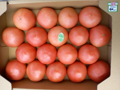 【数量限定】トマト 4kg 20玉～28玉 麗月 産地直送 野菜 新鮮 サラダ 赤熟 くぼなか農園 愛媛 伊予市 | B362