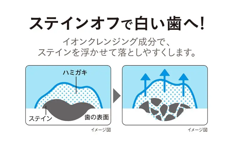 ライオン NONIO クリアハーブ 12本 歯磨き粉 歯磨き粉