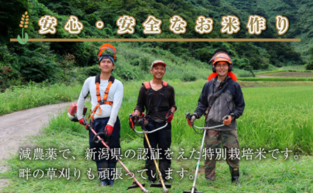 【定期便／全12回】精米5kg　新潟県魚沼産コシヒカリ「山清水米」十日町市 米
