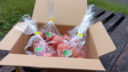 【数量限定】トマト 2kg 麗月 産地直送 野菜  新鮮 サラダ 赤熟 くぼなか農園 愛媛 伊予市 | A66
