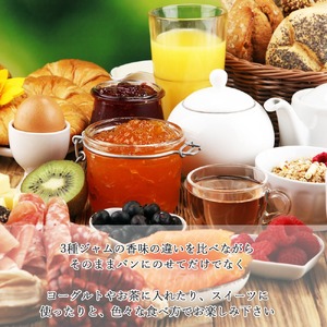 訳あり 愛媛県産フルーツジャム（せとか・伊予柑）2種食べ比べセット（270g×6瓶） みきゃんの列車箱入り フルーツ ジャム マーマレード 愛媛果汁食品 愛媛 新居浜
