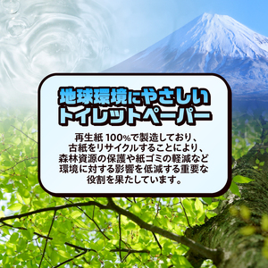 おもしろ トイレットペーパー 幸せの四葉のクローバーを探そう! ダブル 100ロール 個包装 再生紙100％ リサイクル クローバー かわいい プリント 大容量 日用品 日用雑貨 消耗品 備蓄 防災 静岡県 富士市 [sf001-106]