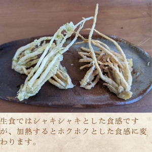 先行予約[2026年12月発送] 根ニラ 龍神様のひげ 1,500g(100g×15袋) すわファーム 野菜 [91-02]
