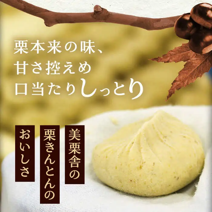 【スピード配送】【季節限定】美栗舎の栗きんとん 10個入り / 恵那市 / 銀の森 [AUBG027]