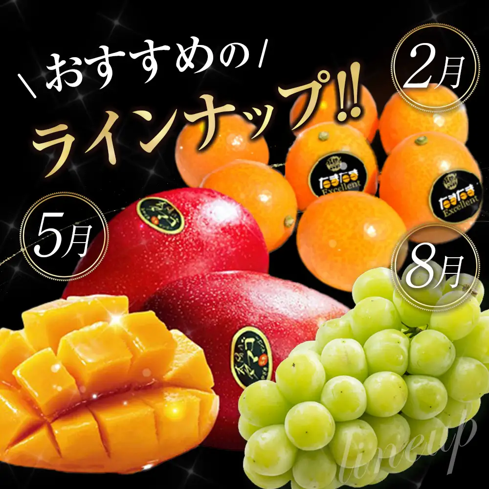 青果店チョイス！くだもの定期便Vol.6（全12回）国産 フルーツ 果物 1年間 毎月お届け 産地直送 G49-2608