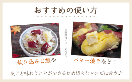 【８月発送開始】さつまいも（土佐紅）5kg - サツマイモ さつま芋 野菜 焼き芋 やきいも 焼いも おやつ スイーツ スイートポテト バター焼き アレンジ 料理 国産 高知県 香南市 yr-0145