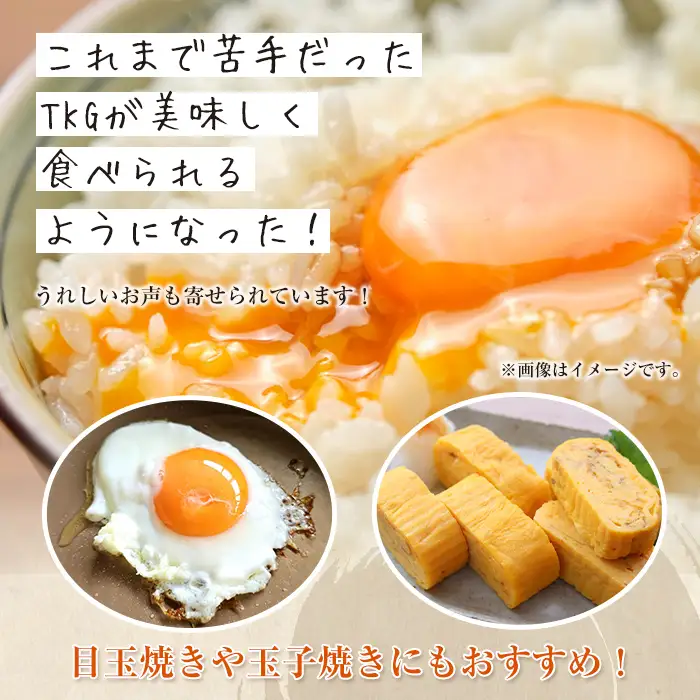 i1045 鶏ダシTKGの素(150ml×2本・計300ml) 鹿児島 しょうゆ しょう油 だし醤油 かけ醤油 TKG醤油 卵かけご飯 調味料 常温 常温保存 九州 薩摩醤油 老舗 【藤本醸造店】