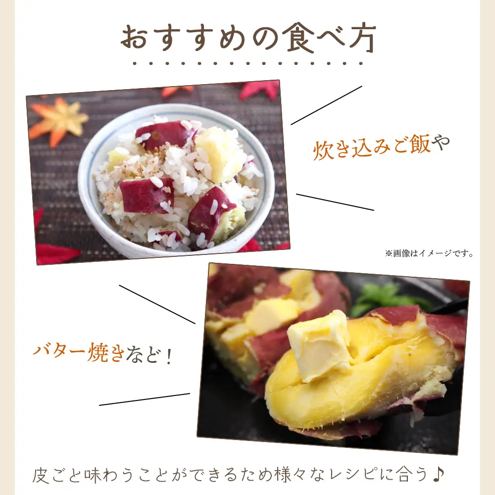 【８月発送開始】さつまいも（土佐紅）10kg - サツマイモ さつま芋 野菜 焼き芋 やきいも 焼いも おやつ スイーツ スイートポテト バター焼き アレンジ 料理 国産 高知県 香南市 yr-0146