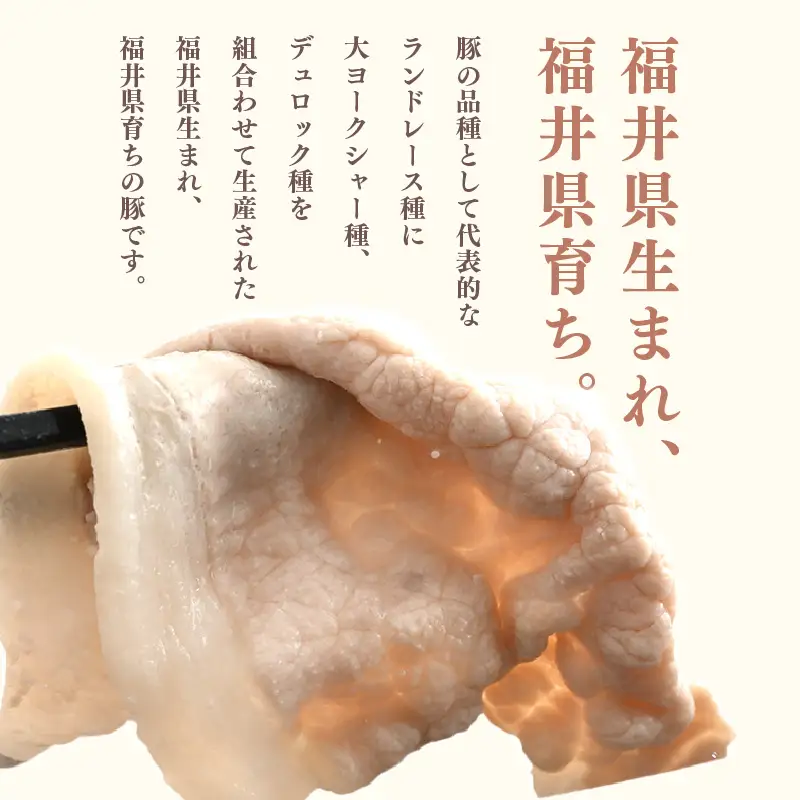 【ブランド豚】ふくいポーク 食べ比べ7種 計2.5kg 冷凍 国産豚肉 [e02-b022]