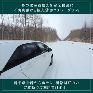 宿泊券 旅行 We Hotel Toya ペア 2泊 宿泊券