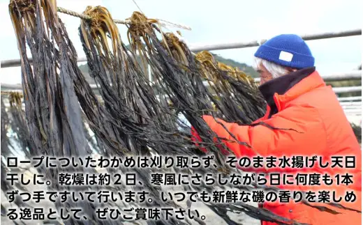 紀州衣奈産乾燥わかめ 150g×4パック（2027年産）【sml213-wak-4B】