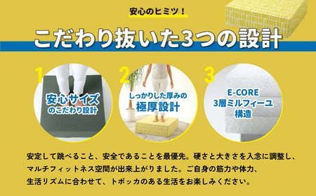 TOVOCCA［フィンレンソングレー］ クッション トランポリン 丸洗い可能 エクササイズ 屋内