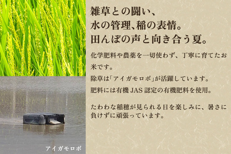 【令和8年産新米先行予約】加茂市産 特別栽培米 コシヒカリ 精米5kg 《10月上旬～順次出荷》