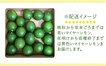 マイヤーレモン 約2kg 14?16個 BUBD008 レモン