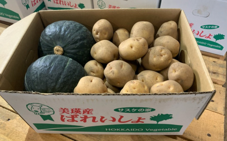 【先行予約】野菜 定期便 【大】 4回便 【令和9年産】 野菜 セット 詰め合わせ サスケの家