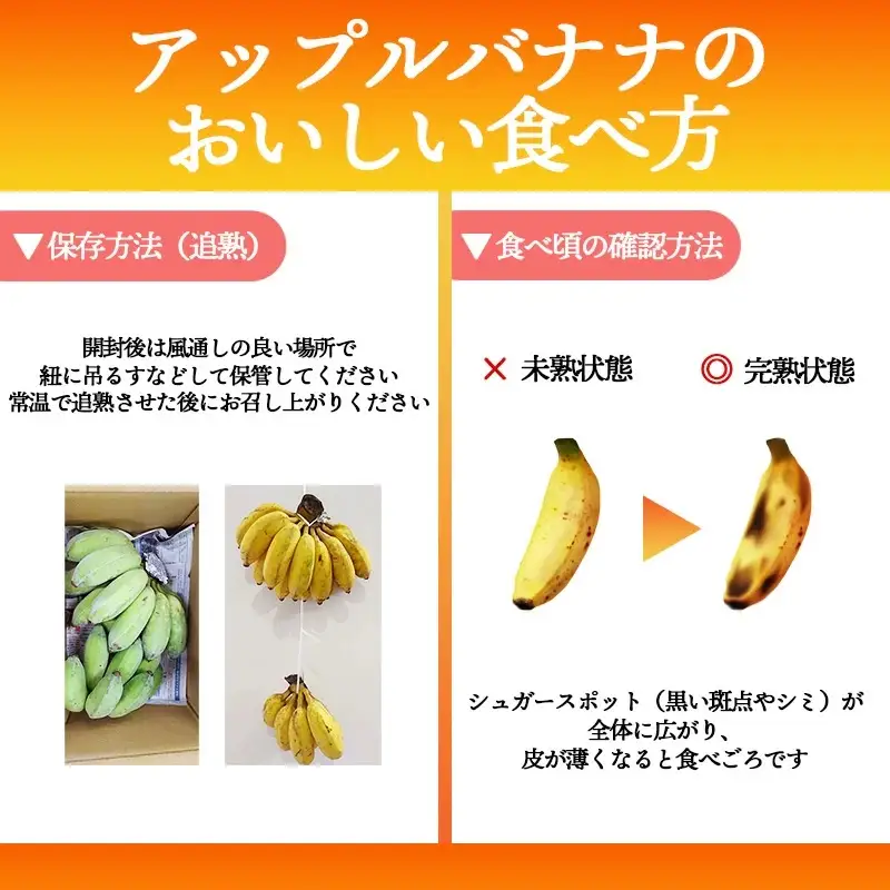 希少栽培種】あかみね熱帯フルーツのアップルバナナ約3kg - 国産 希少