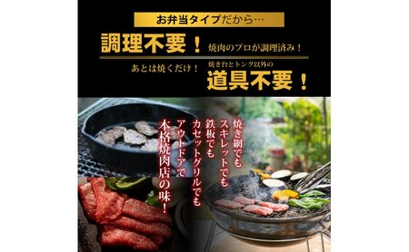 お肉のお弁当セット AD 毎月届く 焼肉 お肉のお弁当セット【定期便2回】