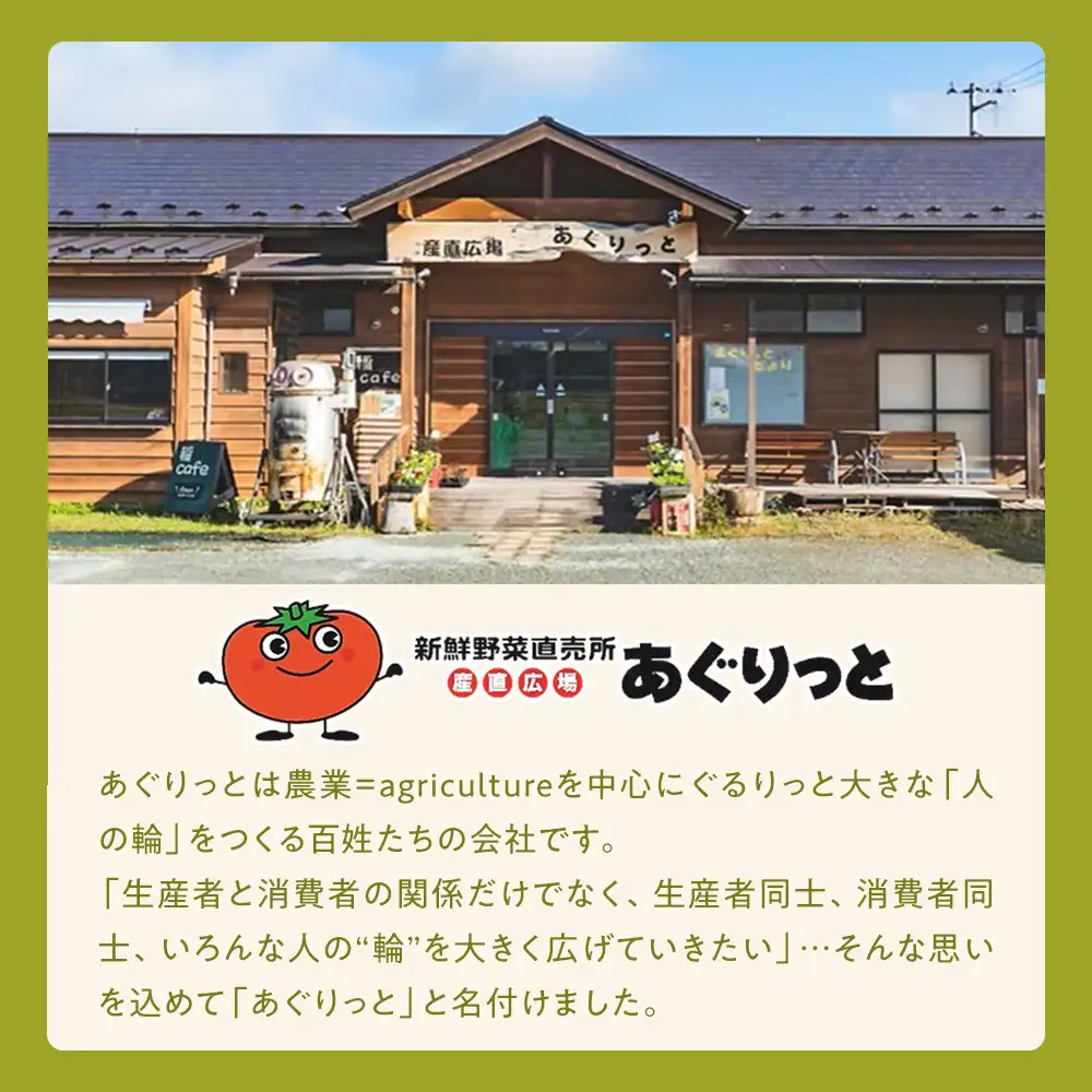 ずんだらけスイーツセットB【バタークリーム、カッサータ（秘伝豆、ドライフルーツ入り）、レアチーズケーキ、大福】【冷凍配送】 ｜ずんだ お菓子  