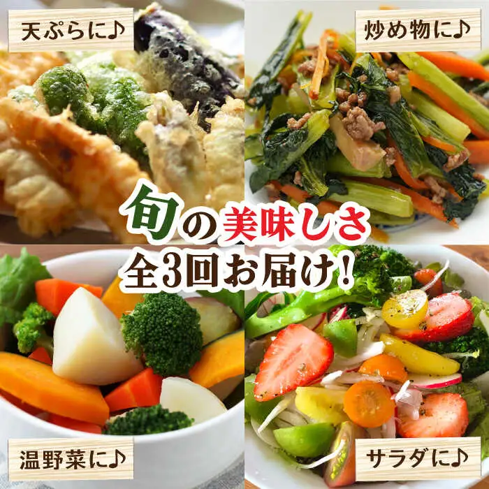 【毎月コース】野菜 キノコ 果物 11品目 詰め合わせ 3回定期便 / やさい定期便 野菜定期便 野菜セット やさいセット 春野菜 夏野菜 秋野菜 冬野菜 / 南島原市 / 吉岡青果[SCZ022]