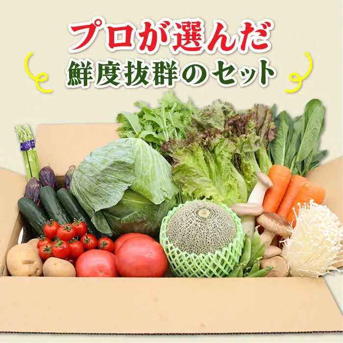 【3回定期便】野菜定期便15品目以上 吉岡青果[SCZ023] 野菜定期便
