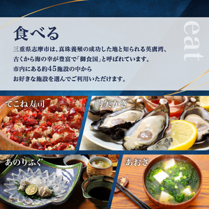 【三重県志摩市】市内施設『共通旅行券』300000円分