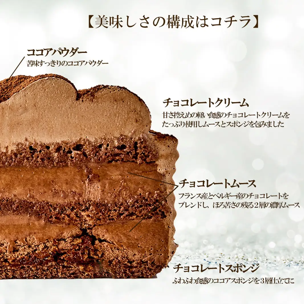 【クリスマスケーキ】ガトーショコラ 5号 0105-006-S06