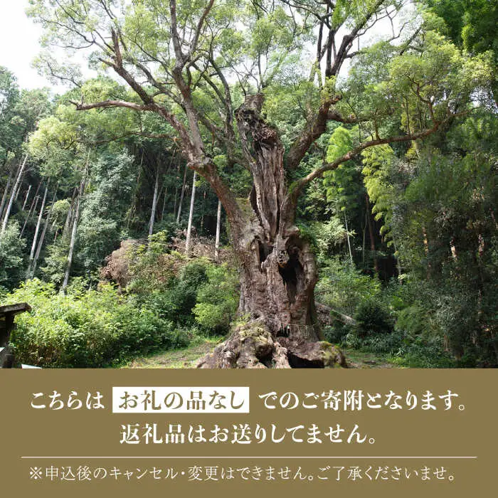 応援寄附金 武雄市 まちづくり応援寄附金 返礼品なし（500,000円分）[UZZ111]