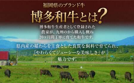【数量限定 訳あり】【A4・A5】 博多和牛 切り落とし 約300g×2パック 合計約600g 牛肉 和牛 肉 お肉 国産 冷凍 岡垣町