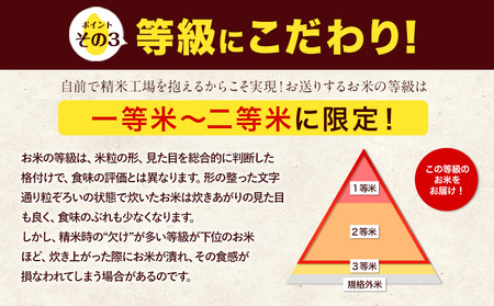 米 無洗米 令和7年産 ひのひかり 森のくまさん 計20kg