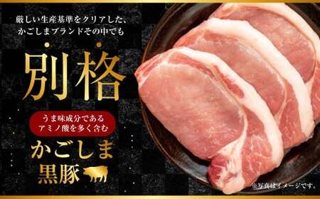 BS-545 かごしま黒豚モモ肉スライス 1kg×隔月3回定期便