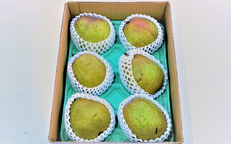 【定期便：全２回】和梨とラ・フランス　各２.５ｋｇ　0012-2608