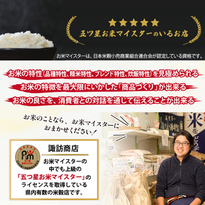 五ツ星お米マイスター 厳選 雫石町産 あきたこまち 精米 10kg 1袋 【諏訪商店】 米 こめ コメ 白米 ご飯 ごはん ライス グルメ 食料 五つ星 5つ星 5ツ星 お米 マイスター 10キロ 国産 岩手県産 産地直送 プレゼント お取り寄せ 仕送り 人気 おすすめ