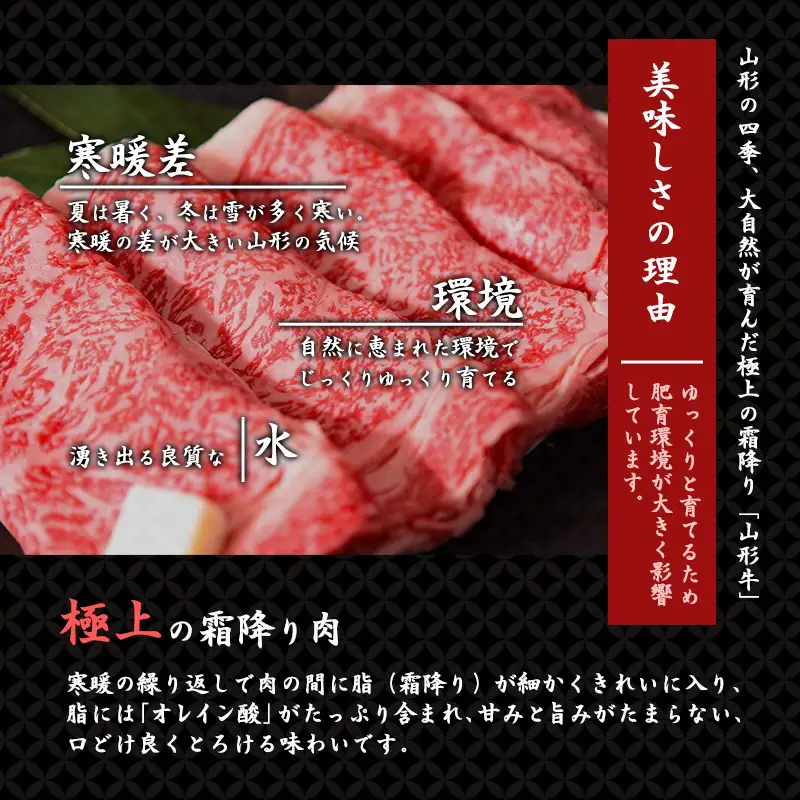 【30営業日以内配送】黒毛和牛「山形牛」100％ 贅沢 ハンバーグ （160g×4個）【保存料なし】　009-D-YL049