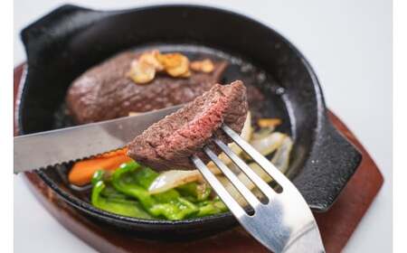 【 ジビエ 】鹿肉 シンタマ（芯玉）300g｜サステナブル SDGs 新鮮 低カロリー ヘルシー 熟成 カツ 焼肉 シカ 小分け ジビエ食材 YZ-6