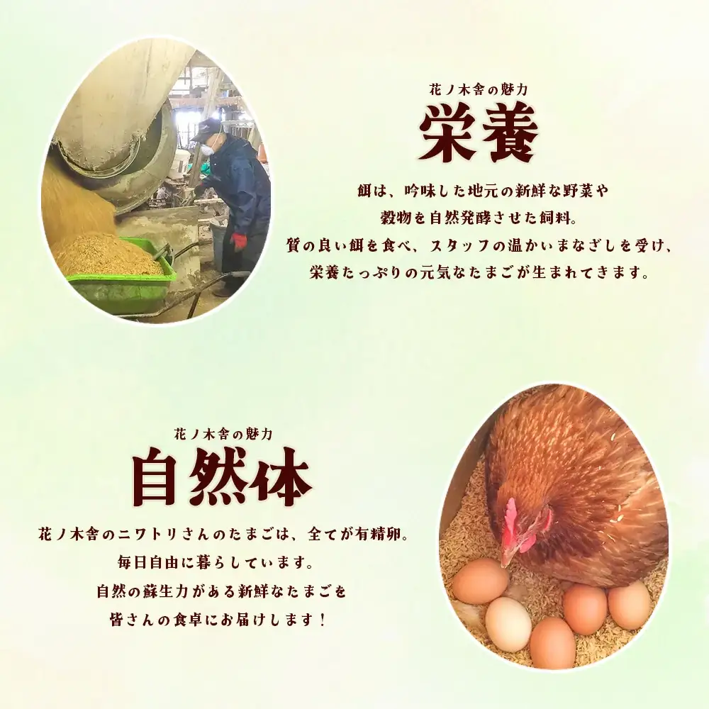 自然飼い　純国産鶏「もみじ」卵　40個入　（Mサイズ）　【04209-0235】　たまご