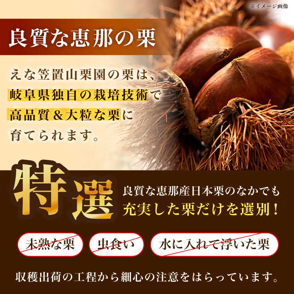 【先行予約】冷凍むき栗「日本栗」 計500g（250g×2P） / 恵那市 / えな笠置山栗園 [AUAV005]