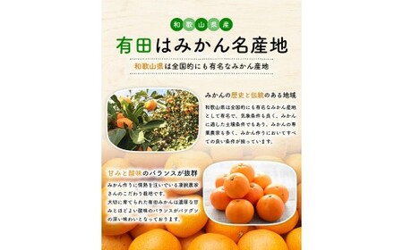【1月発送】有田育ちの完熟有田みかん 家庭用 サイズ混合(2S～2L)　約3.2kg(3kg+200g)【ard194D-01】