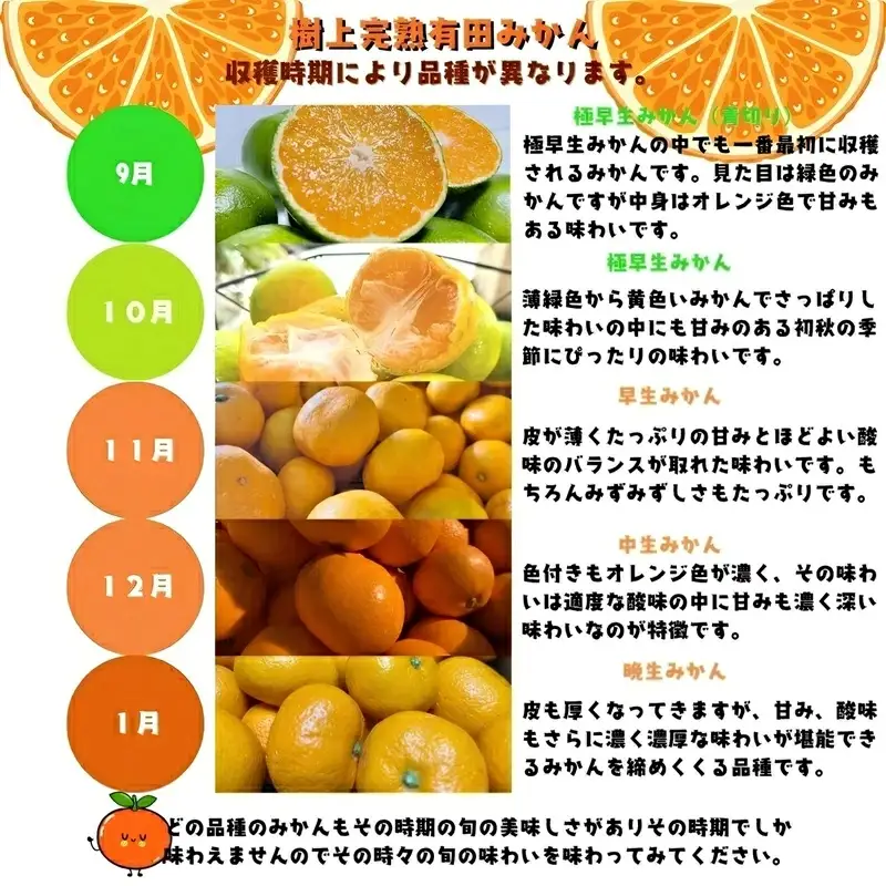 【12月発送】有田育ちの完熟有田みかん 家庭用 サイズ混合(2S～2L)　約5.2kg(5kg+200g)【ard186D-12】