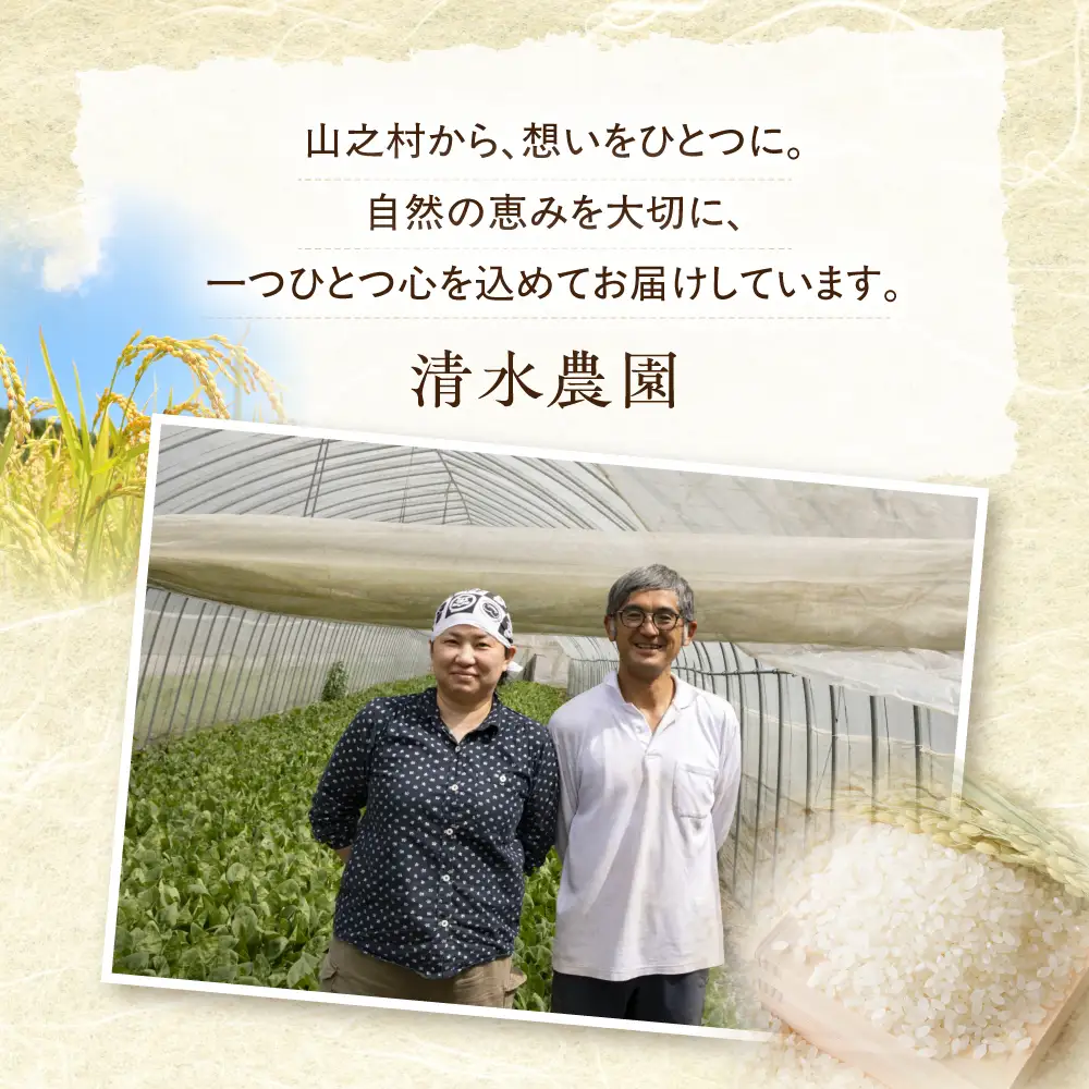 お試し 600g 飛騨産 コシヒカリ / 米 お米 約4合 清水農園 [DU010-26]